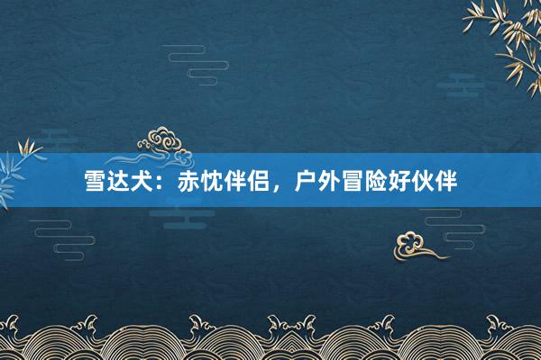 雪达犬:赤忱伴侣,户外冒险好伙伴